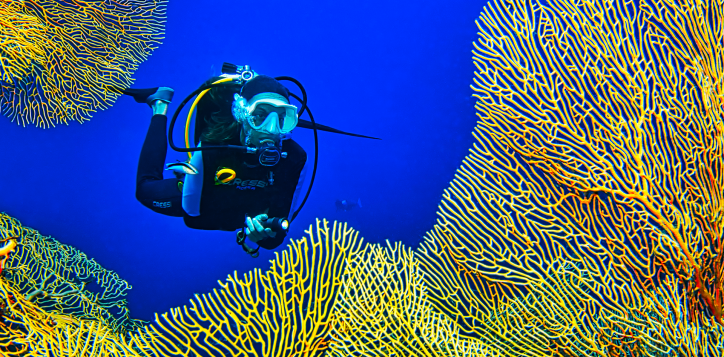 diving-2