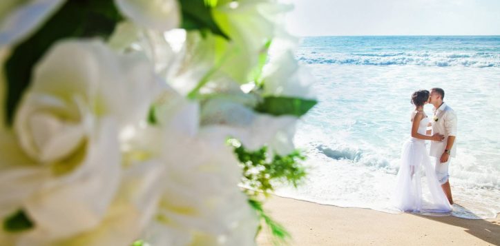 shutterstock_133967333-2