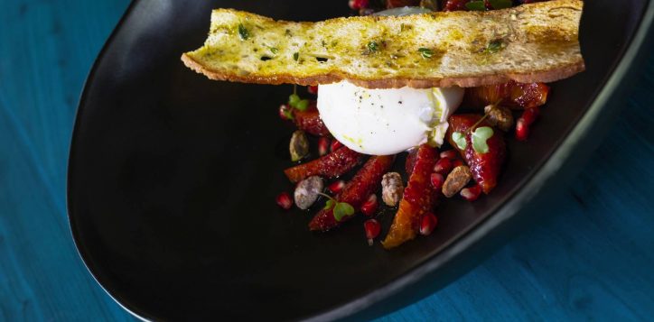 phat-chameleon_buffalo-mozzarella-2