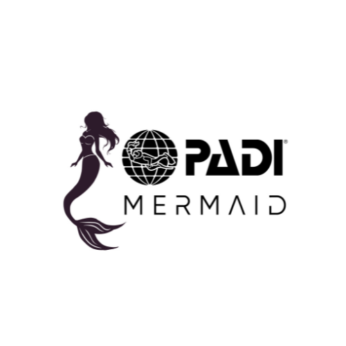 padi-mermaid-logo-square