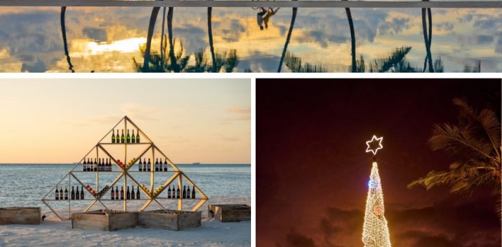 pmm_festive-christmas-offer-page_930x1200-px-2