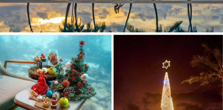 pmm_festive-christmas-offer-page_930x1200-px-2-2